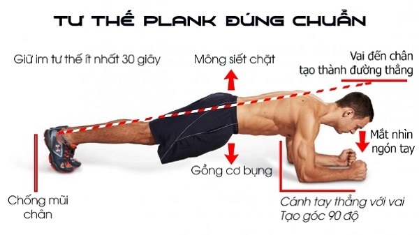 Tư thế Plank chuẩn mang lại hiệu quả tốt đa