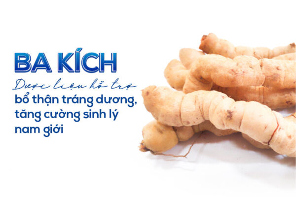 Ba kích giúp tăng ham muốn hỗ trợ điều trị rối loạn cương dương