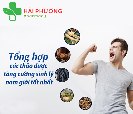 Top 10 Loại thảo dược tăng cường sinh lý nam tự nhiên, an toàn & hiệu quả