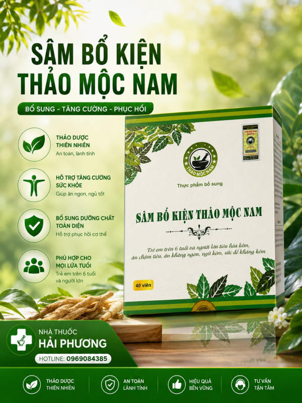 Mua Sâm bổ kiện thảo mộc nam chính hãng tại Nhà thuốc Hải Phương